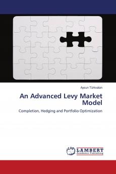 An Advanced Levy Market Model