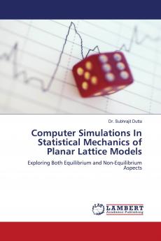 Computer Simulations in Statistical Mechanics of Planar Lattice Models