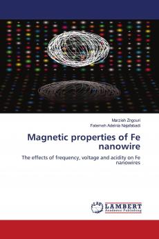 Magnetic Properties of Fe Nanowire