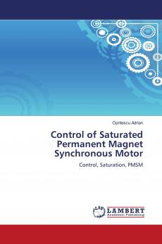 Control of Saturated Permanent Magnet Synchronous Motor