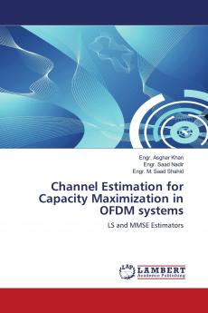 Channel Estimation for Capacity Maximization in OFDM systems
