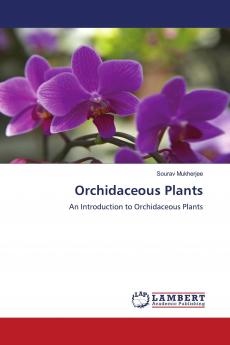 Orchidaceous Plants
