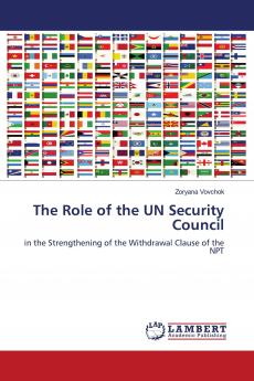 The Role of the Un Security Council