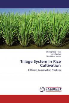 Tillage System in Rice Cultivation