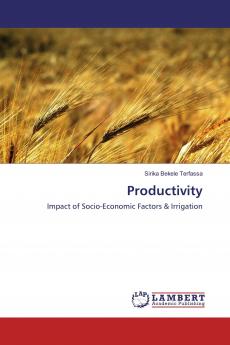 Productivity