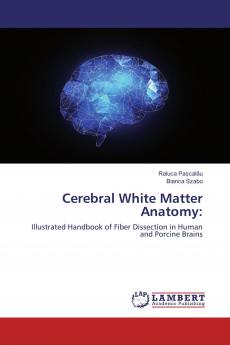 Cerebral White Matter Anatomy: