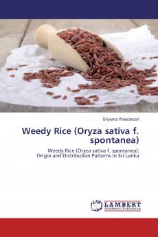 Weedy Rice (Oryza sativa f. spontanea)