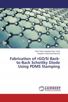 Fabrication of rGO/Si Back-to-Back Schottky Diode Using PDMS Stamping