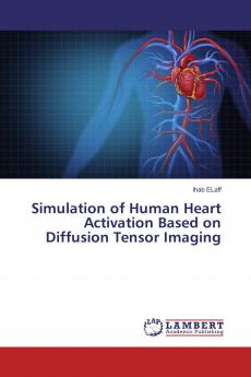 Simulation of Human Heart Activation Based on Diffusion Tensor Imaging