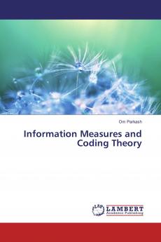 Information Measures and Coding Theory