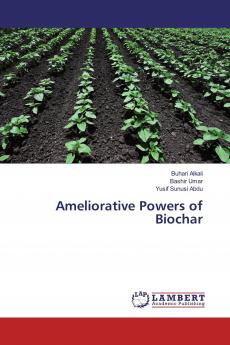Ameliorative Powers of Biochar