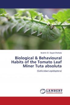 Biological & Behavioural Habits of the Tomato Leaf Miner Tuta absoluta