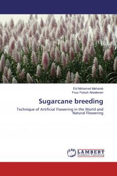 Sugarcane breeding