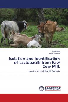 Isolation and Identification of Lactobacilli from Raw Cow Milk