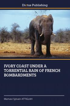 IVORY COAST UNDER A TORRENTIAL RAIN OF FRENCH BOMBARDMENTS