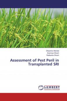 Assessment of Pest Peril in Transplanted SRI