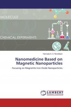 Nanomedicine Based on Magnetic Nanoparticles