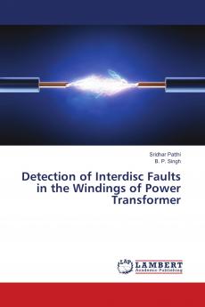 Detection of Interdisc Faults in the Windings of Power Transformer