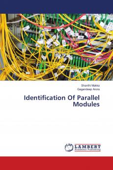 Identification Of Parallel Modules