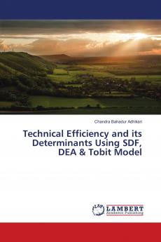 Technical Efficiency and its Determinants Using SDF DEA & Tobit Model