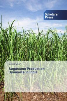 Sugarcane Production Dynamics in India