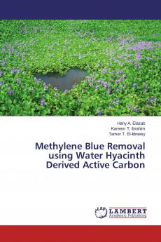 Methylene Blue Removal using Water Hyacinth Derived Active Carbon