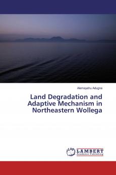 Land Degradation and Adaptive Mechanism in Northeastern Wollega