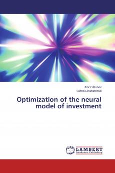 Optimization of the neural model of investment