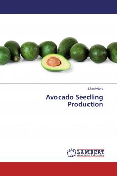 Avocado Seedling Production