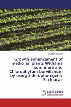Growth enhancement of medicinal plants Withania somnifera and Chlorophytum borvilianum by using Siderophoregenic E. cloacae