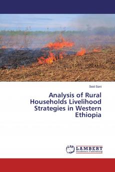 Analysis of Rural Households Livelihood Strategies in Western Ethiopia
