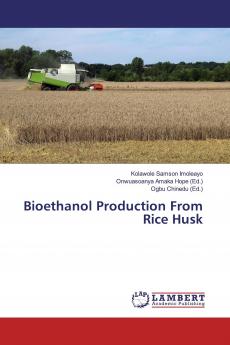 Bioethanol Production From Rice Husk