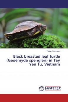 Black breasted leaf turtle (Geoemyda spengleri) in Tay Yen Tu Vietnam