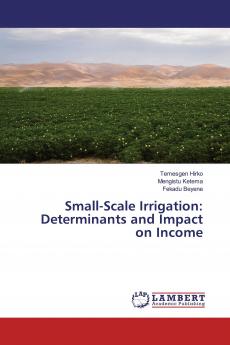 Small-Scale Irrigation: Determinants and Impact on Income
