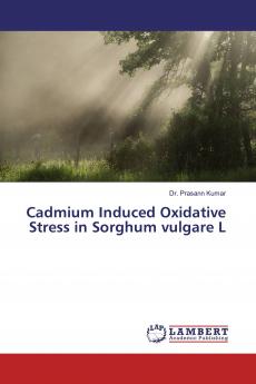 Cadmium Induced Oxidative Stress in Sorghum vulgare L