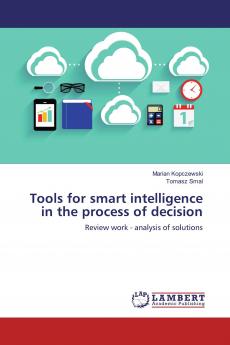 Tools for smart intelligence in the process of decision