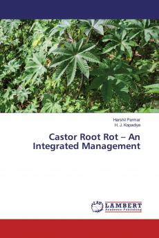 Castor Root Rot ��� An Integrated Management