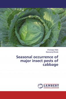 Seasonal occurrence of major insect pests of cabbage
