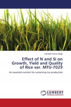 Effect of N and Si on Growth Yield and Quality of Rice var. MTU-7029