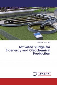 Activated sludge for Bioenergy and Oleochemical Production