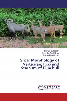 Gross Morphology of Vertebrae Ribs and Sternum of Blue bull