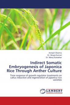 Indirect Somatic Embryogenesis of Japonica Rice Through Anther Culture