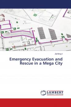 Emergency Evacuation and Rescue in a Mega City
