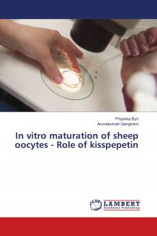 In vitro maturation of sheep oocytes - Role of kisspepetin