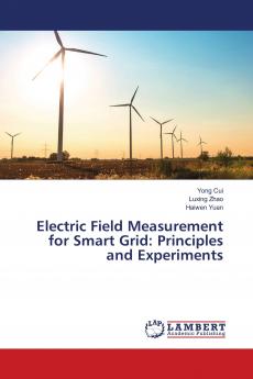 Electric Field Measurement for Smart Grid: Principles and Experiments