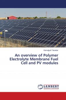 An overview of Polymer Electrolyte Membrane Fuel Cell and PV modules