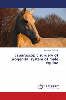 Laparoscopic surgery of urogenital system of male equine