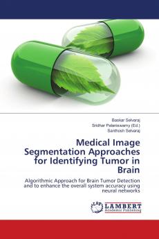 Medical Image Segmentation Approaches for Identifying Tumor in Brain