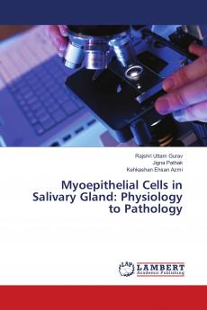 Myoepithelial Cells in Salivary Gland