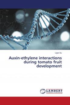Auxin-ethylene interactions during tomato fruit development